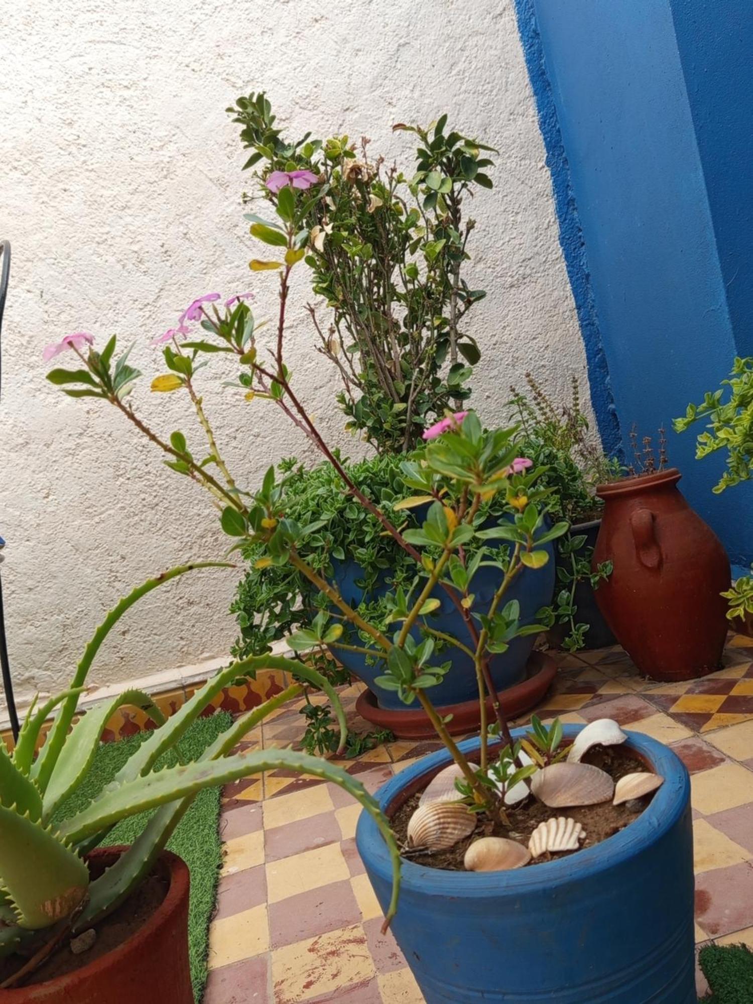 Riad Derb El Aarsa مراكش المظهر الخارجي الصورة